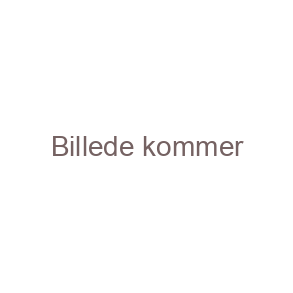 CONTINENTAL CYKELDÆK