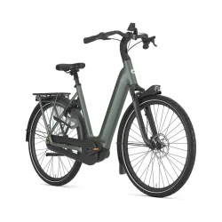 Gazelle Arroyo C8+ Elite L 28" R8S - m�rkegr�n