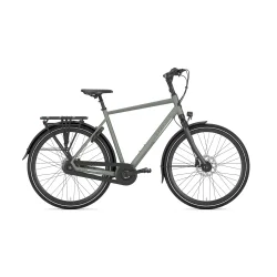 Gazelle Chamonix C8 H 28" T8 - lergr�n