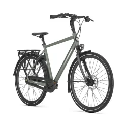 Gazelle Chamonix C8 H 28" T8 - lergr�n