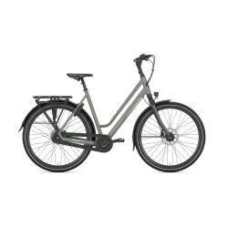 Gazelle Chamonix C8 L 28" T8 - lergr�n
