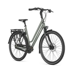 Gazelle Chamonix C8 L 28" T8 - lergr�n