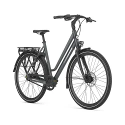 Gazelle Chamonix S11 L 28" S11 - gr�