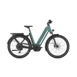 Gazelle Eclipse T11 L 27-5" S11 - gr�n