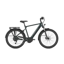 Gazelle Medeo T10 H 28" S10 - gr�n
