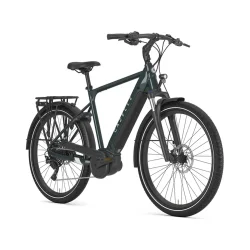 Gazelle Medeo T10 H 28" S10 - gr�n