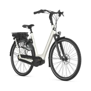 Gazelle Orange C8 L 28