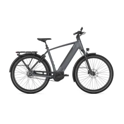 Gazelle Ultimate C5+ H 28" S5 - meteorgr�