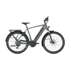 Gazelle Ultimate T10 H 28" S10 - m�rkegr�