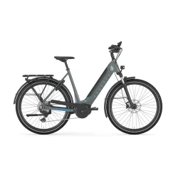 Gazelle Ultimate T10 L 28" S10 - m�rkegr�