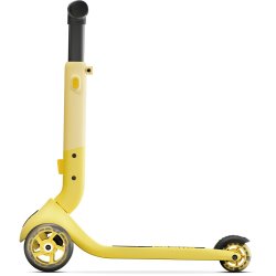 PUKY PUKY PUSH  pineapple