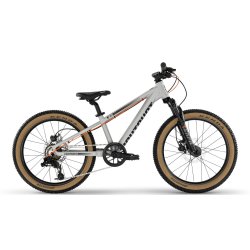 PUKY X-COADY 20 FS-DISC  grey