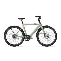 TENWAYS CGO009 New Edition - Salviegr�n