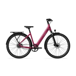 TENWAYS CGO800S (remtr�k) - Vild b�r