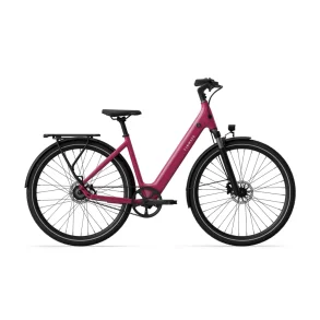 TENWAYS CGO800S (remtr�k) - Vild b�r