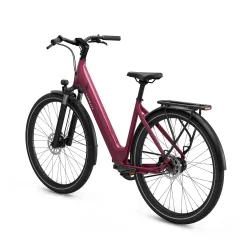 TENWAYS CGO800S (remtr�k) - Vild b�r