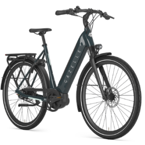 Gazelle Ultimate C8+ HMB Belt gr�n