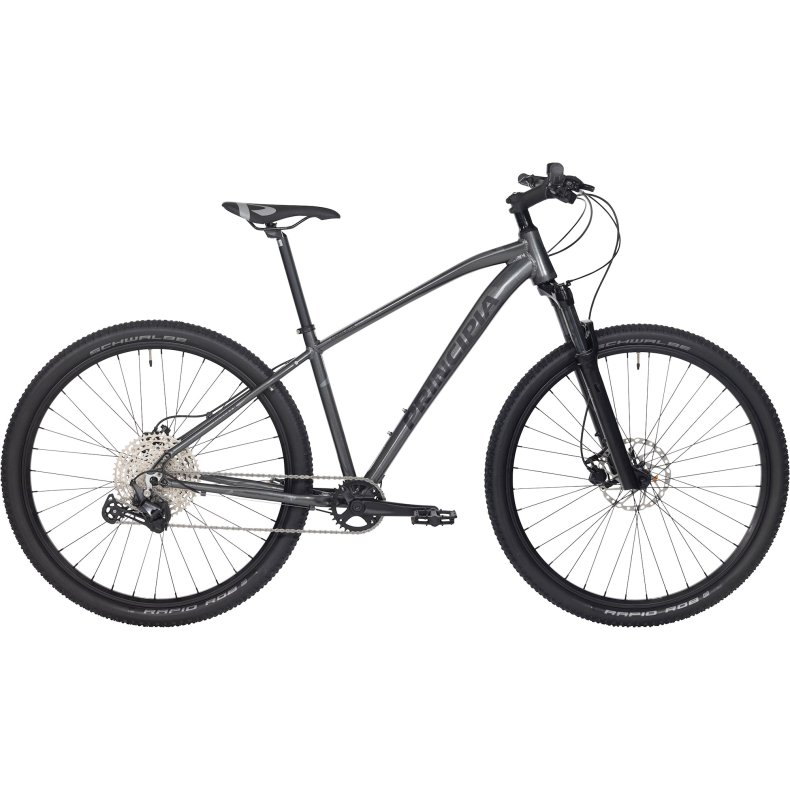 Principia MTB A7.9 29 tommer Deore 1x12 affjedret forgaffel hydrauliske skivebremser 19 tommer Titanium m. Sort 2022