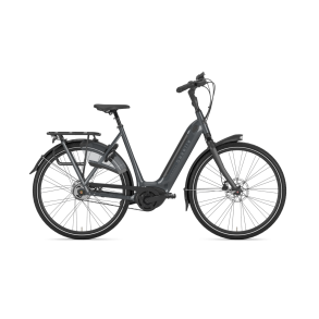 Gazelle Arroyo C5 HMB Elite L R5S Remtr�k