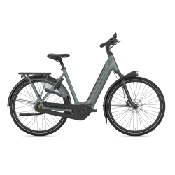 Gazelle Arroyo C8+ Elite � luksuri�s komfort i s�rklasse Green