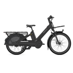 Gazelle Cabby C380 E-bike � lav indstigning