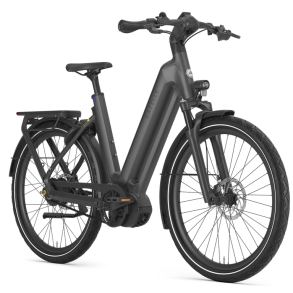 Gazelle Eclipse C380 HMB gr�