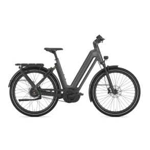 Gazelle Eclipse C380 HMB gr�