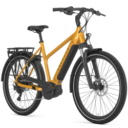 Gazelle Medeo T10 Bosch 10 Gear