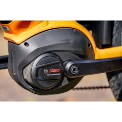 Gazelle Medeo T10 Bosch 10 Gear