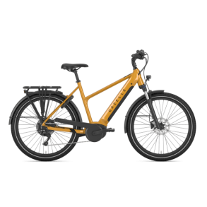 Gazelle Medeo T10 Bosch 10 Gear