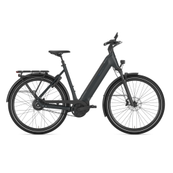 Gazelle Ultimate C380 � lav indstigning Teal Grey