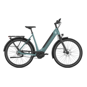 Gazelle Ultimate C5 HMB L 28 S5