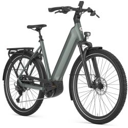 Gazelle Ultimate T11 � lav indstigning (Twilight Green)