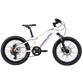 Principia MTB A2.0 20in Tourney 1x6sp flatbar susp. fork hydr. disc