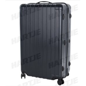 TERN Transportkoffer 